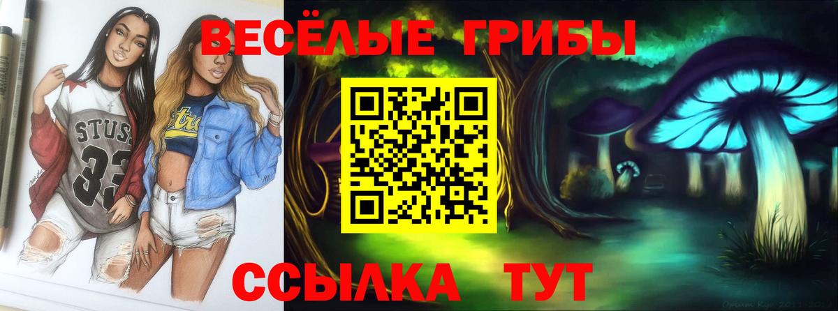 Спасск-Дальний  Псилоцибиновые грибы MAGIC MUSHROOMS  Вход с VPN 