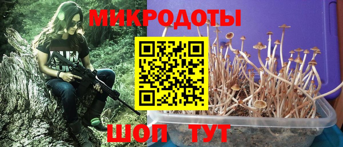 Галлюциногенные грибы GOLDEN TEACHER Спасск-Дальний